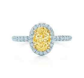 蒂芙尼订婚钻戒铂金镶钻戒圈，珠链式边镶钻石环绕椭圆形钻石订婚钻戒戒指