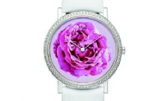 玫瑰人生伯爵玫瑰珠宝系列Yves Piaget Rose