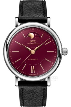 IWC万国表柏涛菲诺系列IW459604