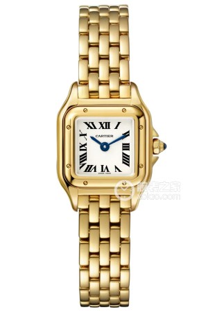 卡地亚PANTHÈRE DE CARTIER WGPN0016